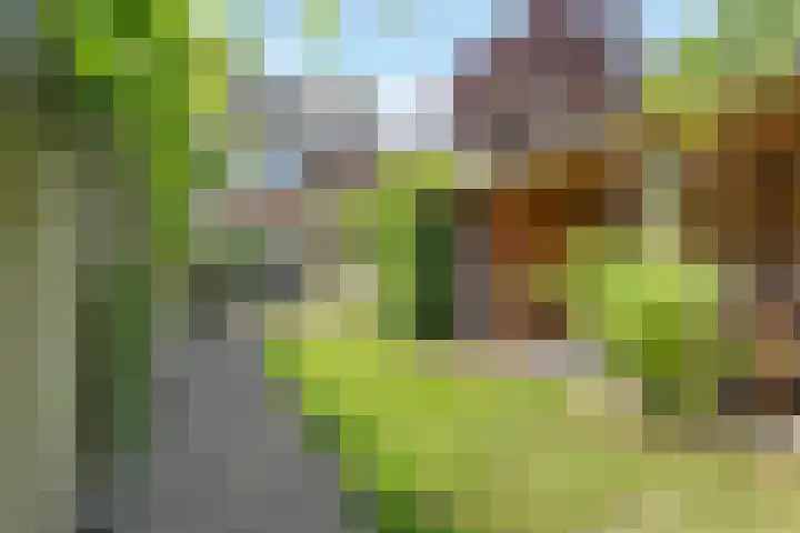 Sandersstraat 32 Terschuur thumbnail 23
