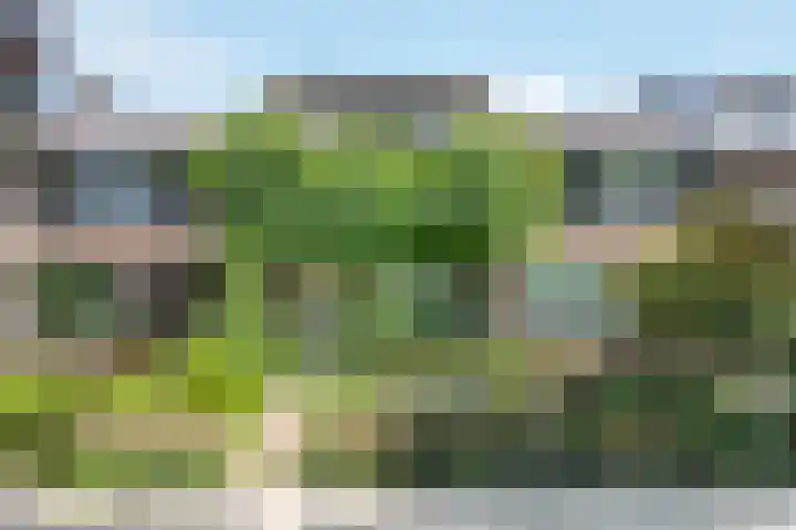 Sandersstraat 32 Terschuur thumbnail 31