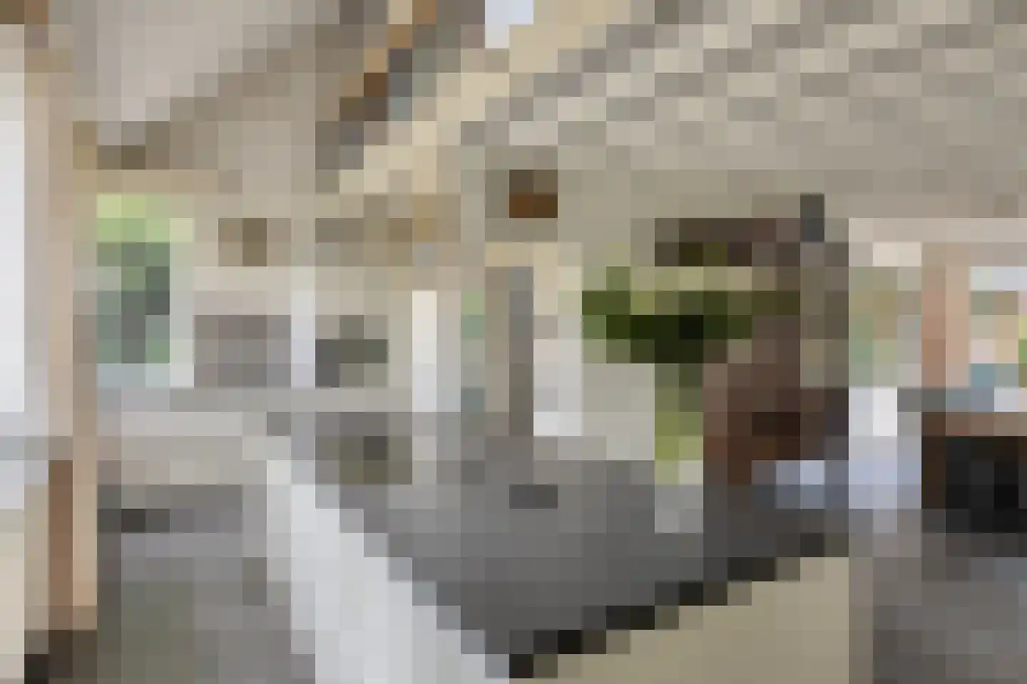 Sandersweg 199 Maastricht thumbnail 12