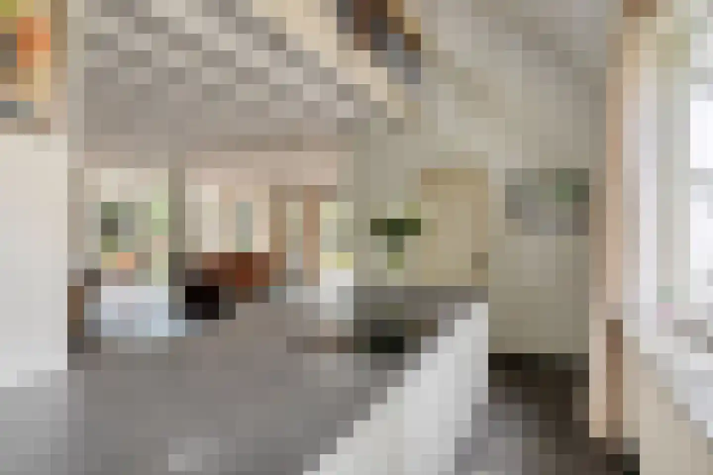 Sandersweg 199 Maastricht thumbnail 13