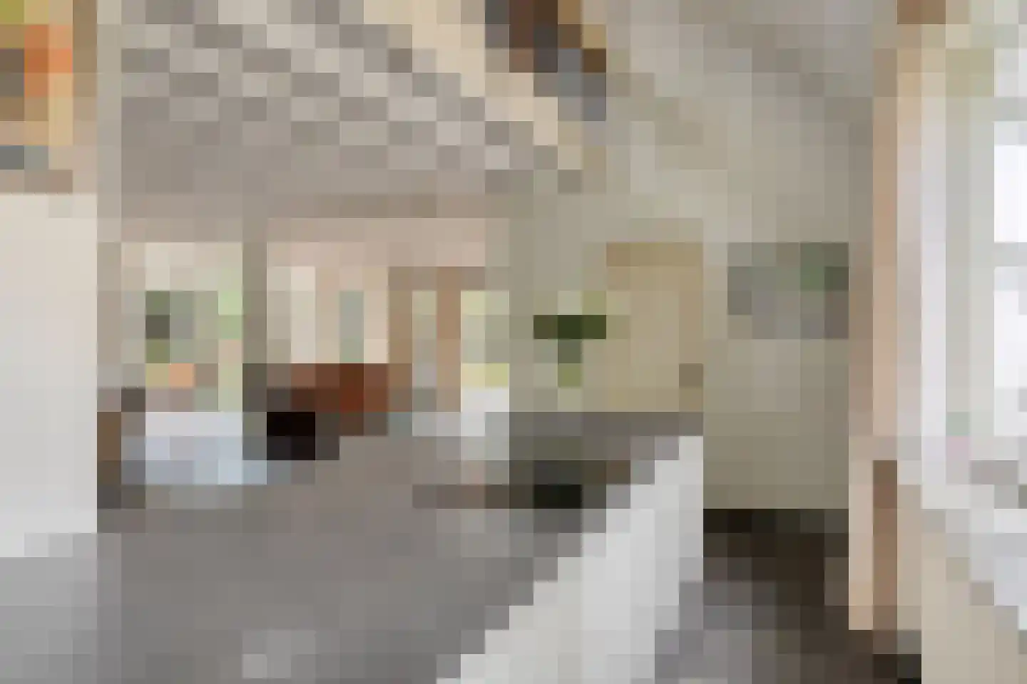 Sandersweg 199 Maastricht thumbnail 13