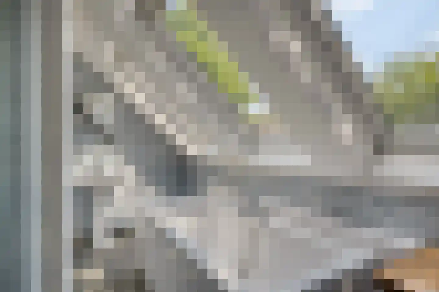 Sandersweg 199 Maastricht thumbnail 19