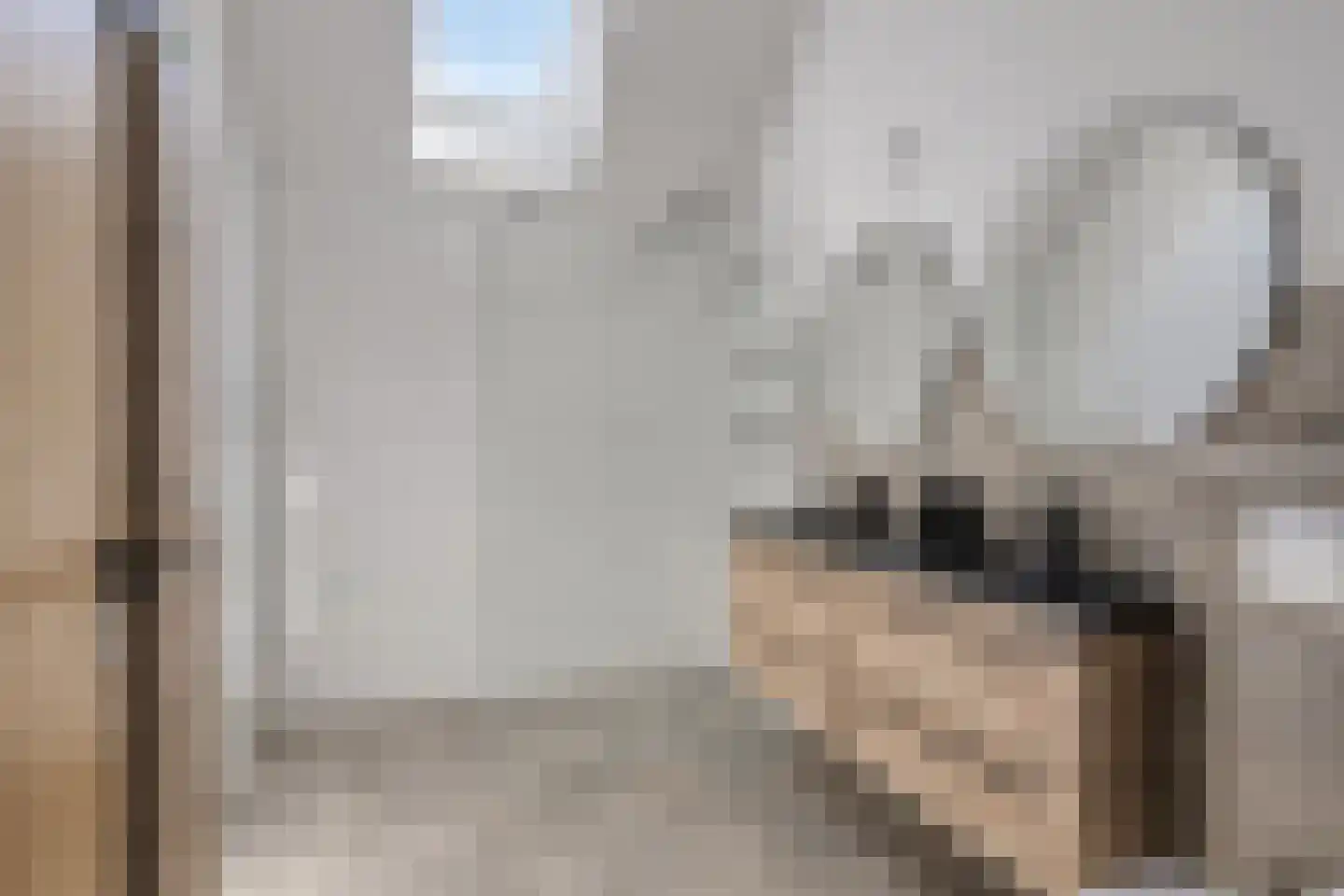 Sandersweg 199 Maastricht thumbnail 26