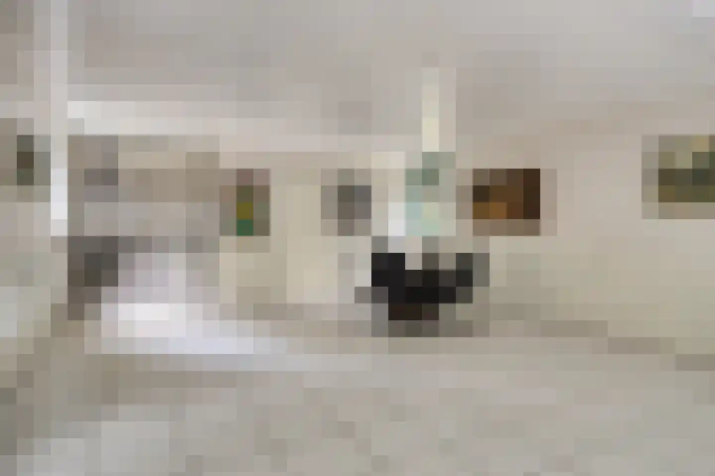 Sandersweg 199 Maastricht thumbnail 31