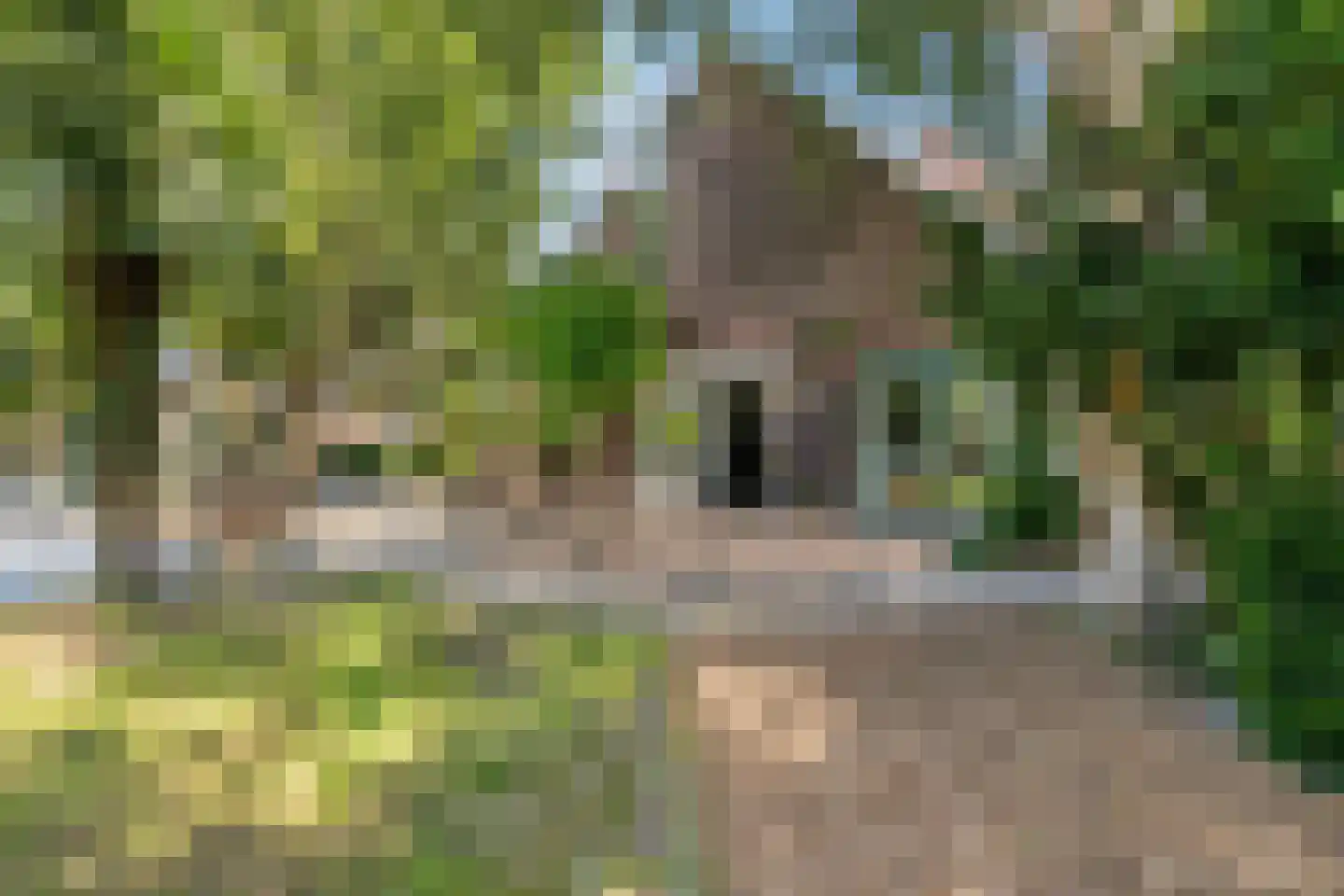 Sandersweg 199 Maastricht thumbnail 42