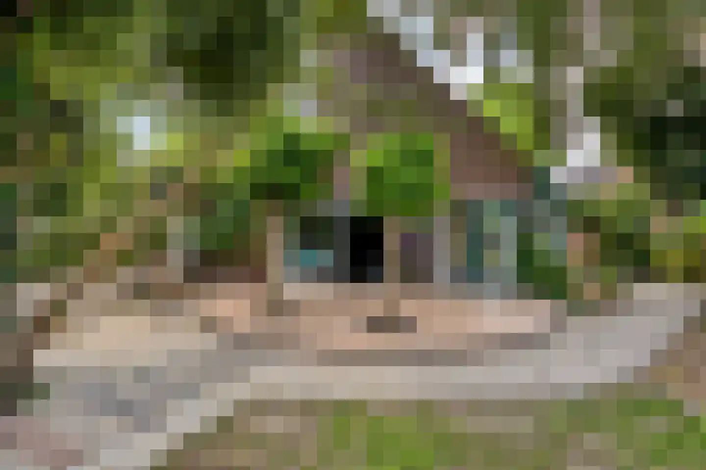 Sandersweg 199 Maastricht thumbnail 48