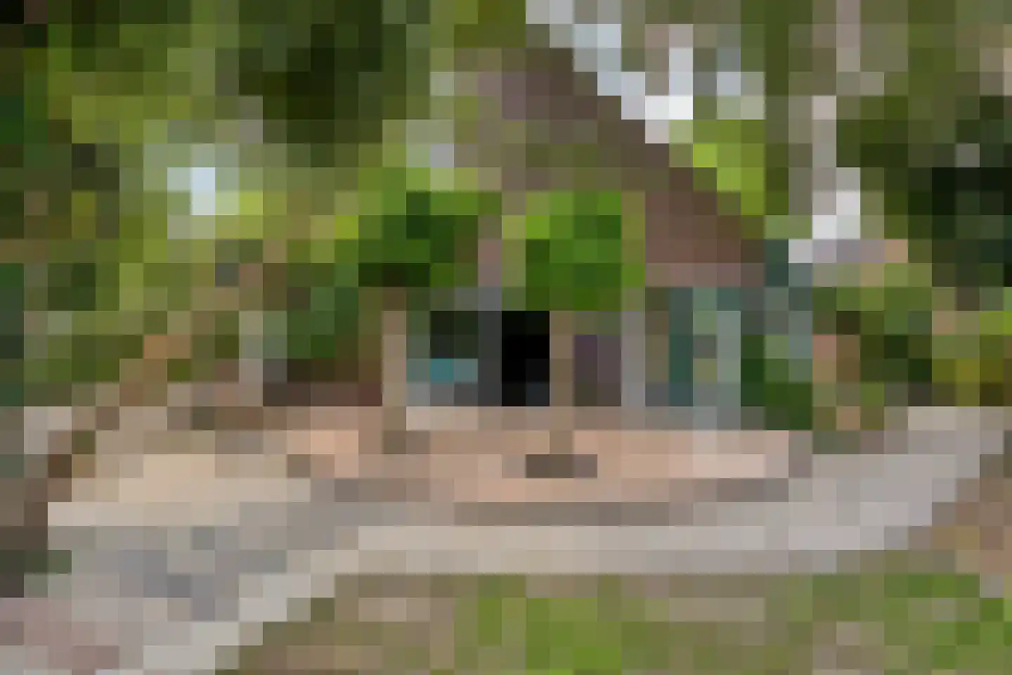 Sandersweg 199 Maastricht thumbnail 48