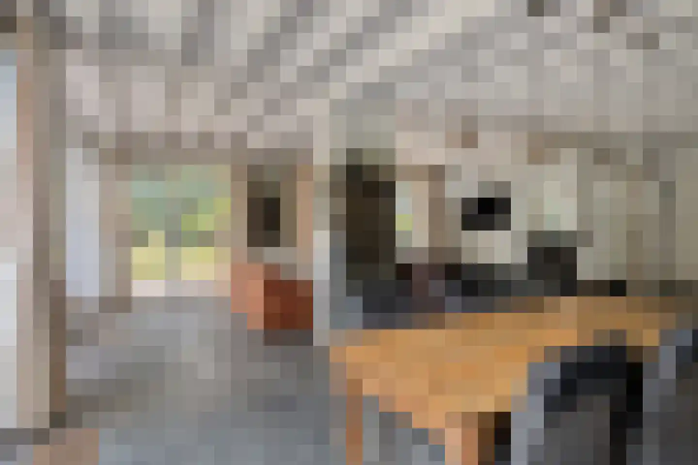 Sandersweg 199 Maastricht thumbnail 8