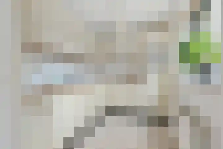 Sandestein 13 Nieuw-Vennep thumbnail 17