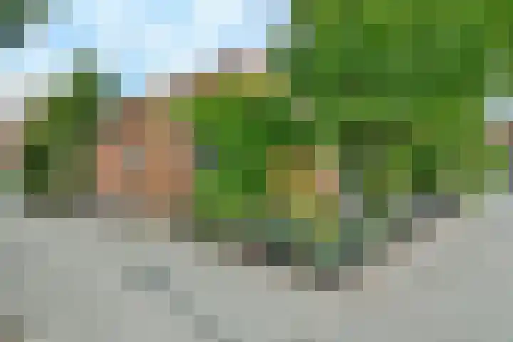 Sandestein 13 Nieuw-Vennep thumbnail 35