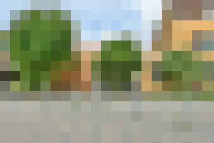 Sandestein 13 Nieuw-Vennep thumbnail 5