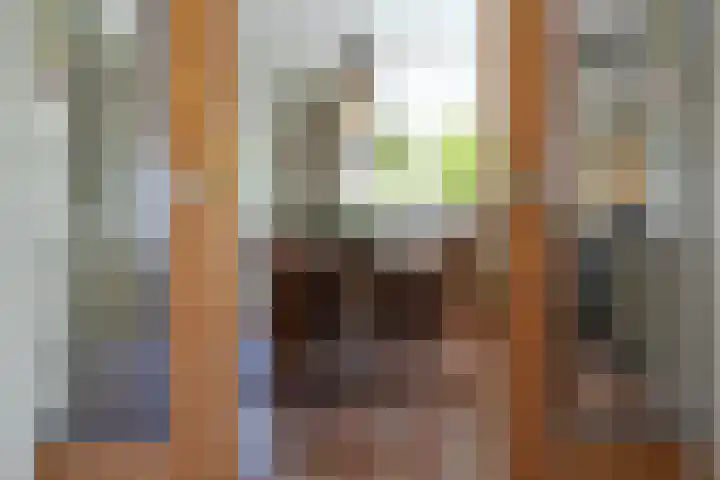 Sandoel 41 Raamsdonksveer thumbnail 10