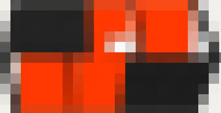Sandoel 41 Raamsdonksveer thumbnail 104