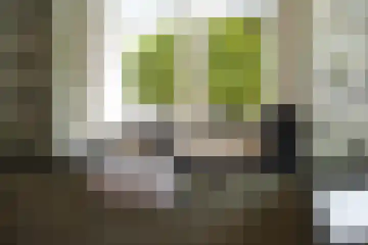 Sandoel 41 Raamsdonksveer thumbnail 12