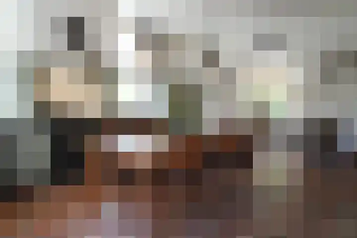 Sandoel 41 Raamsdonksveer thumbnail 13