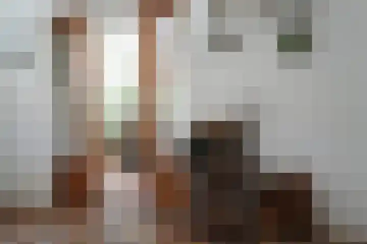 Sandoel 41 Raamsdonksveer thumbnail 14