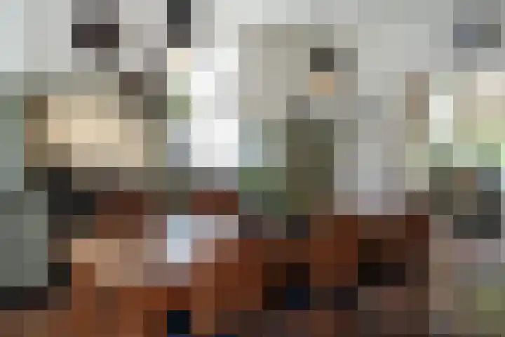 Sandoel 41 Raamsdonksveer thumbnail 15