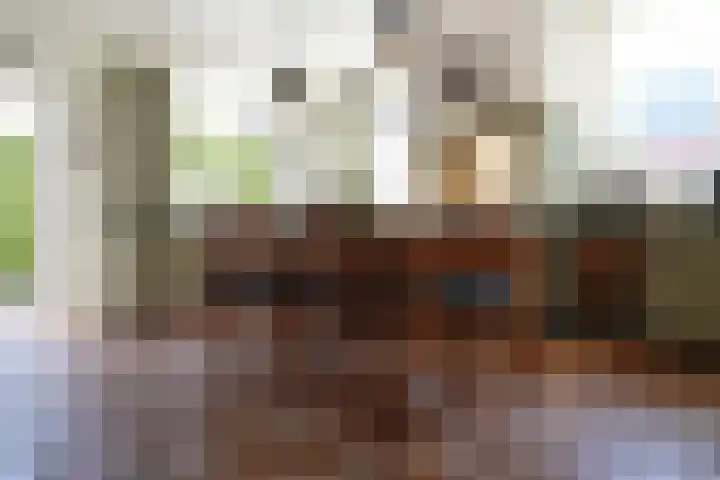 Sandoel 41 Raamsdonksveer thumbnail 17