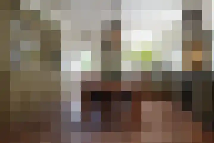 Sandoel 41 Raamsdonksveer thumbnail 18
