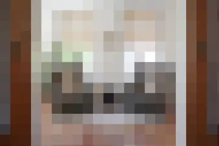 Sandoel 41 Raamsdonksveer thumbnail 19