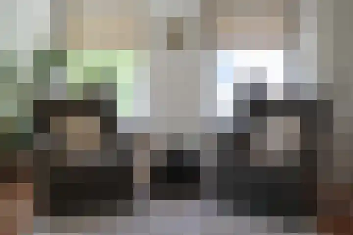 Sandoel 41 Raamsdonksveer thumbnail 20