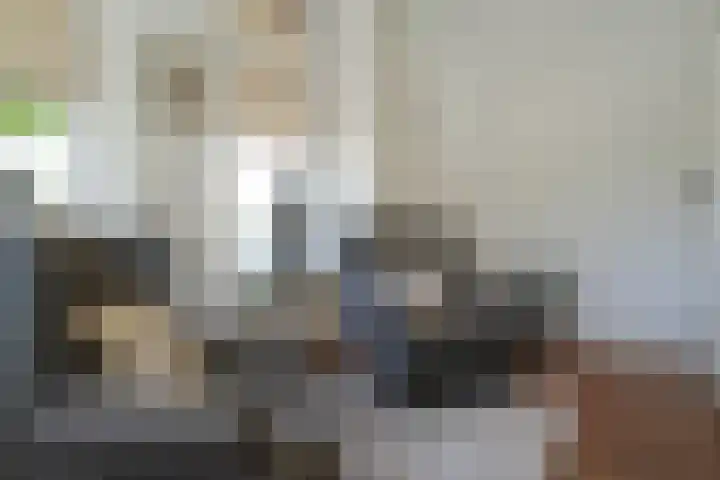 Sandoel 41 Raamsdonksveer thumbnail 21