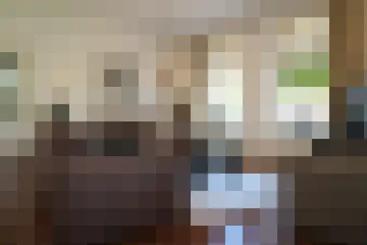 Sandoel 41 Raamsdonksveer thumbnail 22
