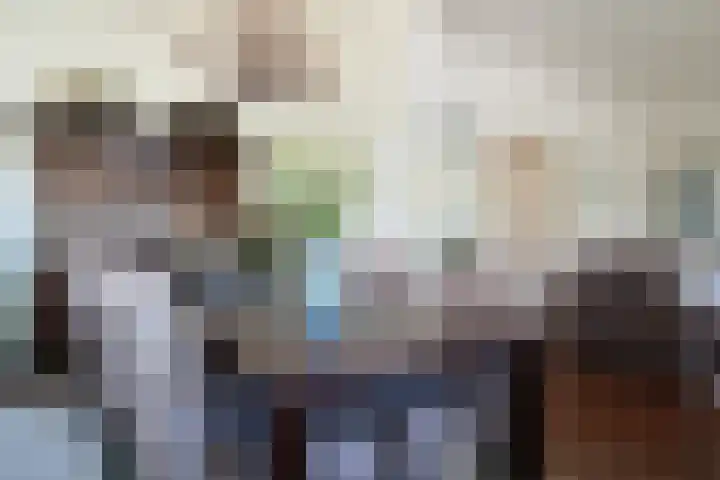 Sandoel 41 Raamsdonksveer thumbnail 24