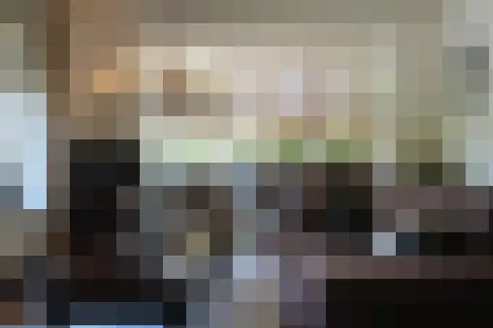 Sandoel 41 Raamsdonksveer thumbnail 27