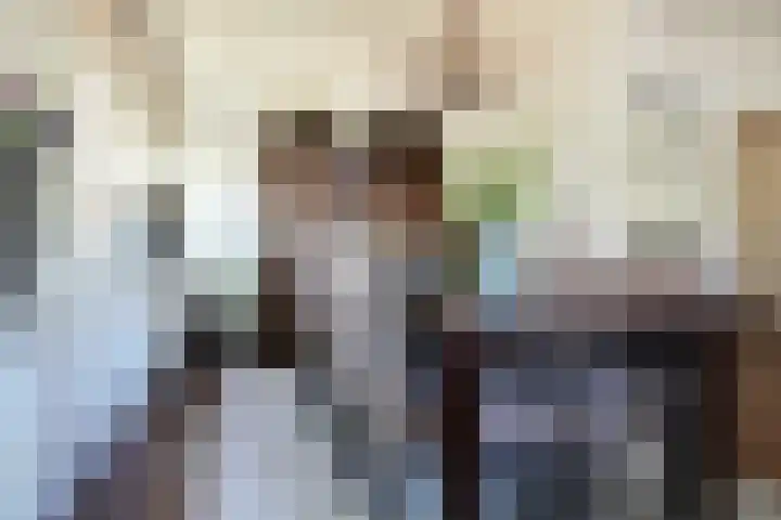 Sandoel 41 Raamsdonksveer thumbnail 28