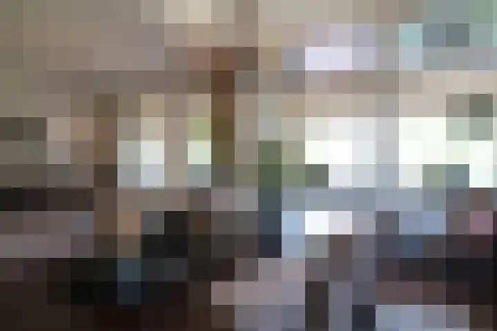 Sandoel 41 Raamsdonksveer thumbnail 29