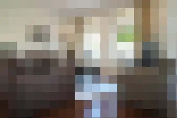 Sandoel 41 Raamsdonksveer thumbnail 30