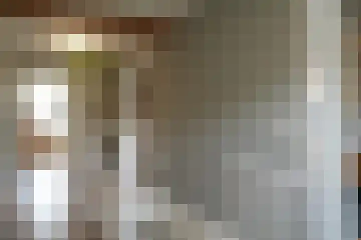 Sandoel 41 Raamsdonksveer thumbnail 37