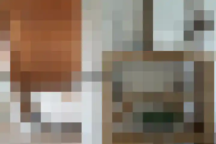 Sandoel 41 Raamsdonksveer thumbnail 42