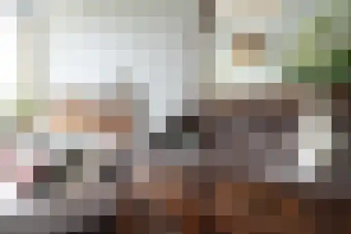 Sandoel 41 Raamsdonksveer thumbnail 44