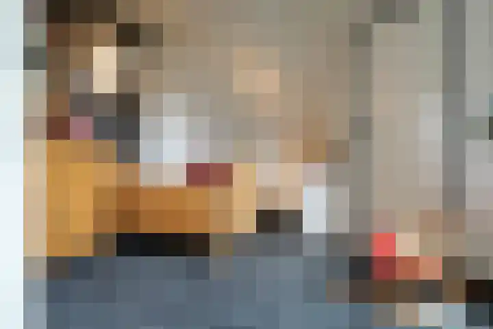 Sandoel 41 Raamsdonksveer thumbnail 46