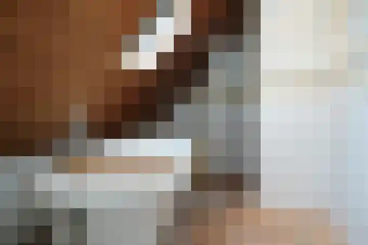 Sandoel 41 Raamsdonksveer thumbnail 51