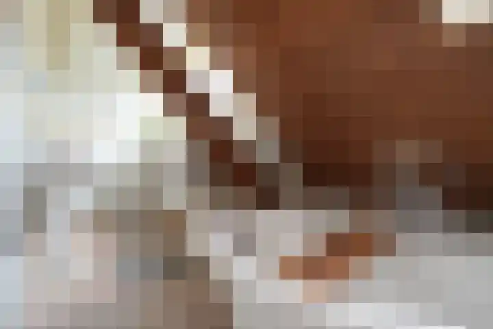 Sandoel 41 Raamsdonksveer thumbnail 52