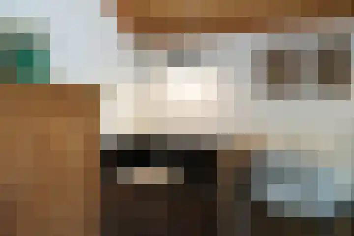 Sandoel 41 Raamsdonksveer thumbnail 60