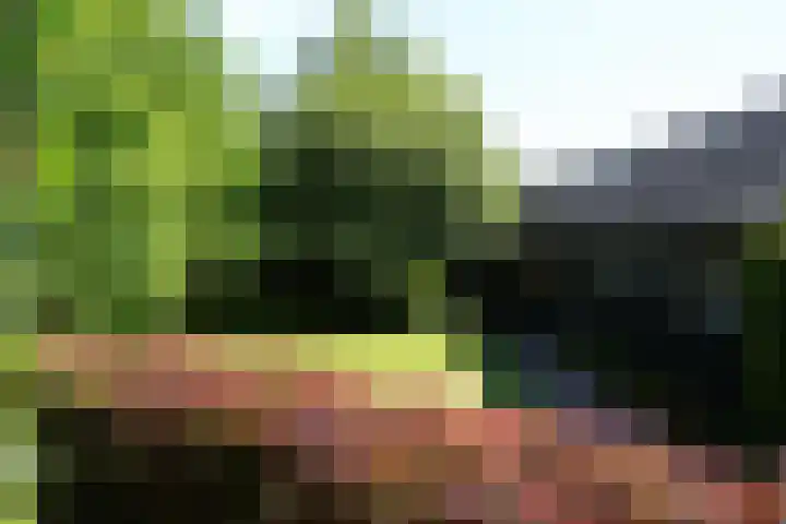 Sandoel 41 Raamsdonksveer thumbnail 64