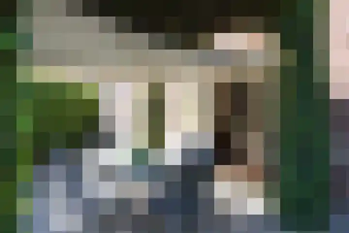 Sandoel 41 Raamsdonksveer thumbnail 67