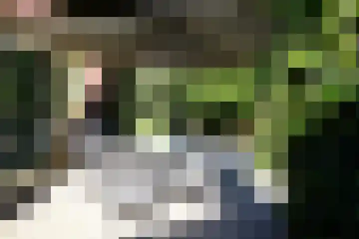 Sandoel 41 Raamsdonksveer thumbnail 69