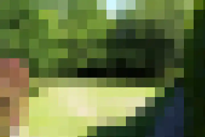 Sandoel 41 Raamsdonksveer thumbnail 70