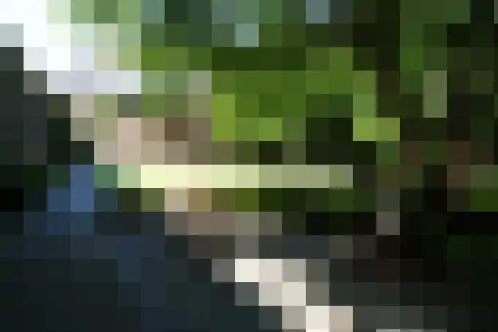 Sandoel 41 Raamsdonksveer thumbnail 71