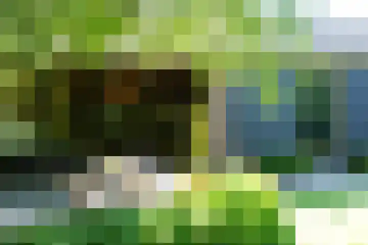 Sandoel 41 Raamsdonksveer thumbnail 72