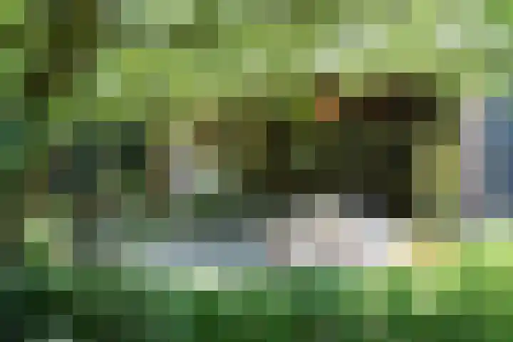 Sandoel 41 Raamsdonksveer thumbnail 73