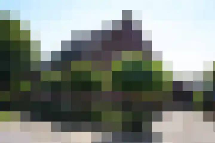 Sandoel 41 Raamsdonksveer thumbnail 76