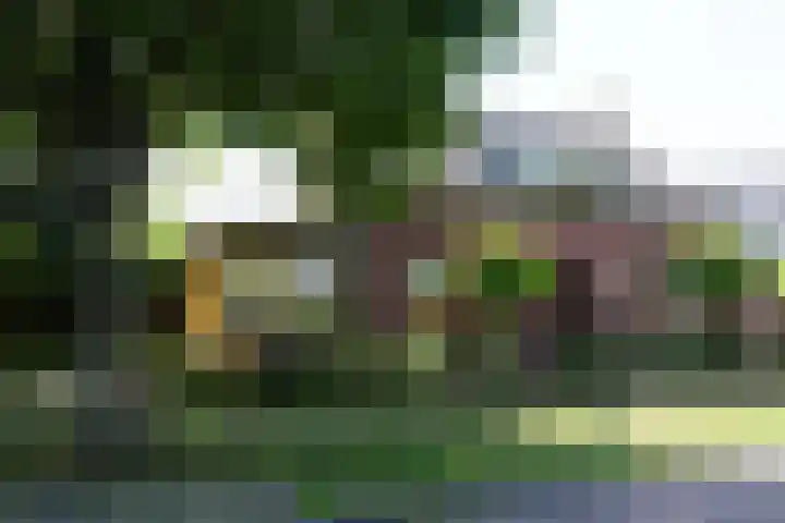 Sandoel 41 Raamsdonksveer thumbnail 78