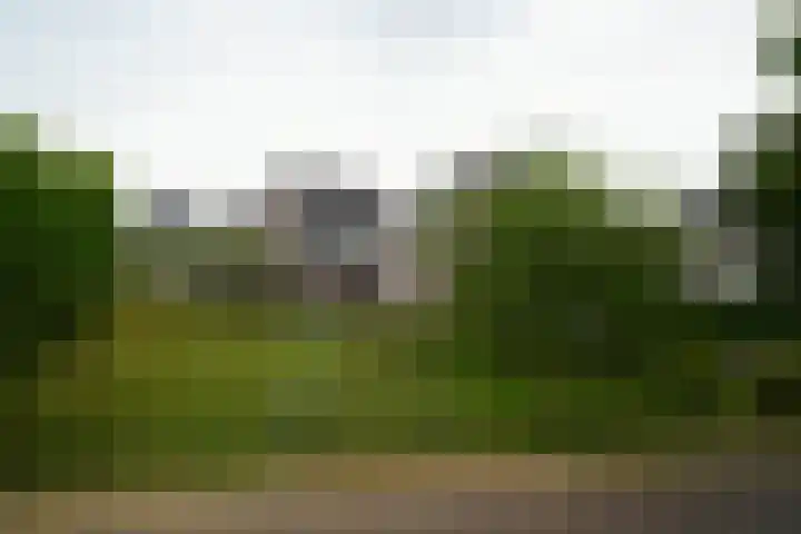 Sandoel 41 Raamsdonksveer thumbnail 79
