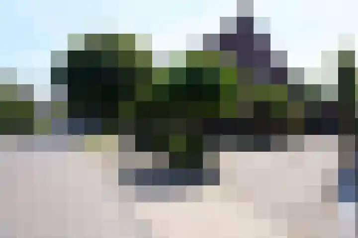Sandoel 41 Raamsdonksveer thumbnail 80